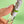 Pen Diffuser with Essential Oil Blends - Herbal Garden