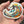 Colorful Surfing Waves Sticker – Transparent or Opaque Vinyl