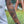 Monarch Butterfly Temporary Tattoo