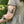 Fox Temporary Tattoo