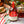 Holiday Honey® | Christmas Gift | Gourmet Honey | 18oz |12pk