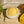 The Sun Stone | After Sun Balm & Lotion Bar