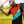 Sunday swagger toucans touch guiness polo