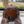 Vintage Deland hat brown camo, oval leather