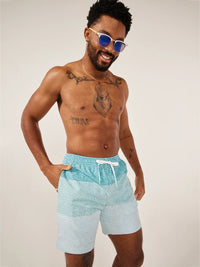 Chubbies whale sharks swim trunk