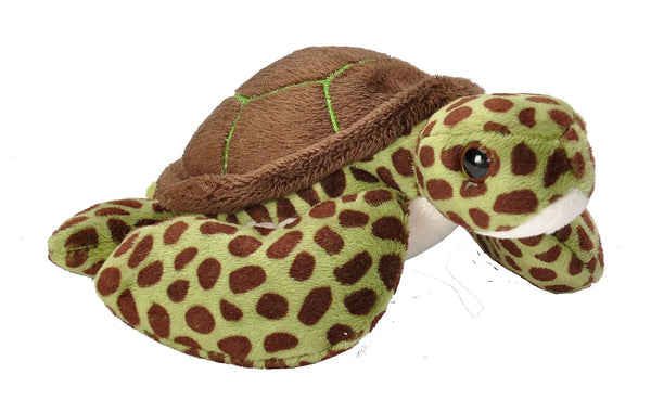 Wild republic poketkins green sea turtle