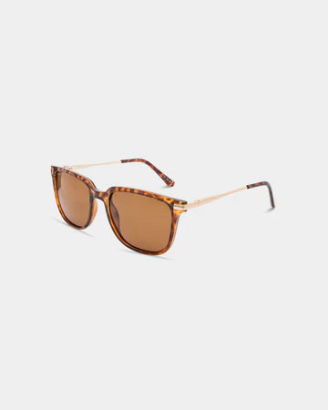 Eyeking Salt Life - Classic Fashion Sunglasses - Shiny Demi Tort Frame