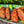 Dat'l Hook Ya Mild Heat Blackened Seasoning 5oz