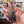 CLEAR OR HOLOGRAPHIC STICKER: Hanging Bats (Flying Fox)