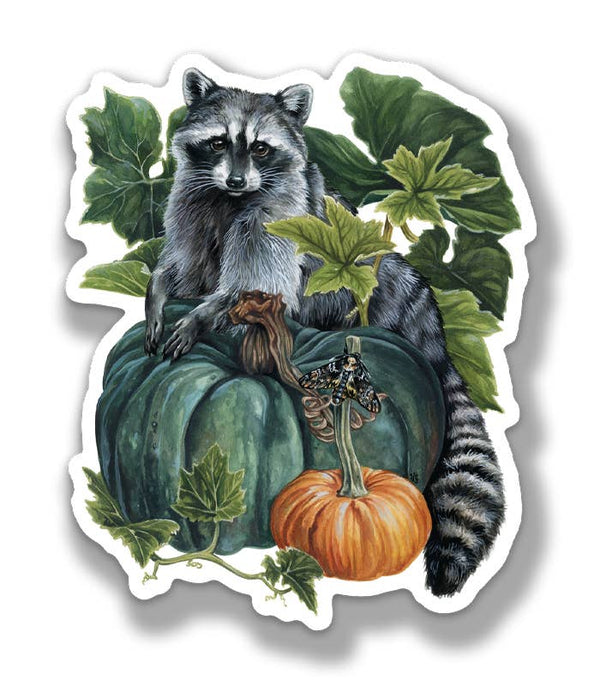 Raccoon Pumpkin Patch Sticker
