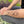 Magnolia Flower Temporary Tattoo
