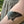 Black Swallowtail Butterfly Temporary Tattoo
