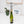 Skull Corkscrew