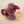 Colored Small Bouquet - Lavish Lush