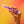 Scented Lava Pens 2 Pk Pink/ Purple