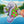 VINYL or HOLOGRAPHIC STICKER: Chillaxed Manatee
