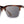 CAMP Ridge Sunglasses - Whiskey Soda
