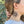 Sunflower Temporary Tattoo