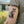 Fox Temporary Tattoo