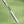 Pen Diffuser with Essential Oil Blends - Herbal Garden