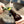 Army Man Bottle Opener - Counter Display Unit
