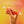 Scented Lava Pen 2PK Purple/Orange