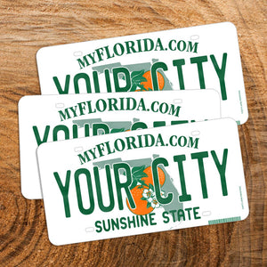 Florida License Plate Souvenir Sticker with DeLand