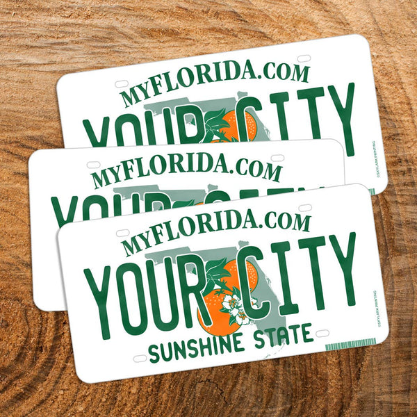 Florida License Plate Souvenir Sticker with DeLand