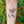 Hummingbird Temporary Tattoo