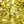 Colombina Butter Toffee Hard Candy – Individually Wrapped – Bulk Value Bag