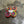Speed lab wheels MPS101 a