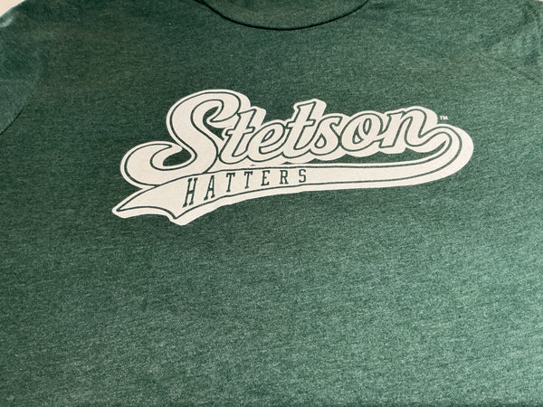 DeLand Apparel Company Stetson Swoosh Next Level Tshirt