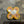 Speed lab wheels Danforth 97 a special edition