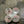 Speed lab wheels Danforth 97 a